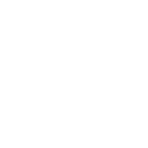 CYBERFALKEN